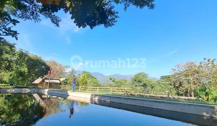 Dijual Cepat Murah Villa Super Luas 4400 M2 Hidden Gem Bandung