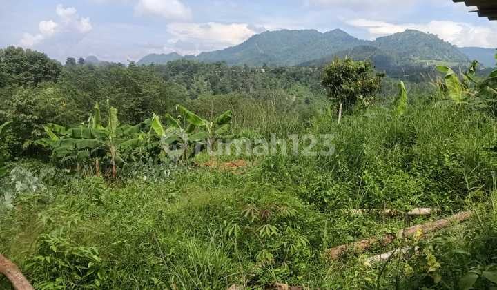For Sale Quickly: Land in Sukaharja Village, Sukamakmur District