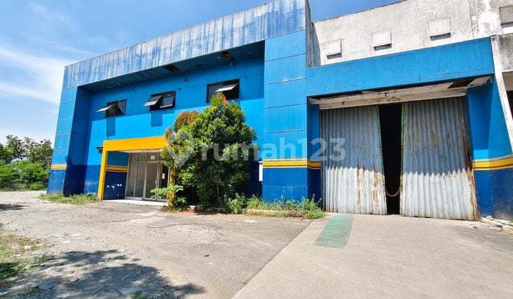 Disewakan Gudang Siap Pakai Di Kawasan Jababeka 2 Cikarang