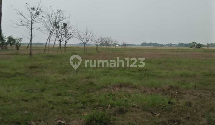 Tanah Murah Utk Investasi di Zona Perumahan Tanah Murah Utk Investasi di Zona Perumahan