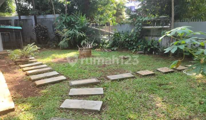 Rumah Area Kebayoran Baru Di Sewakan Siap Huni