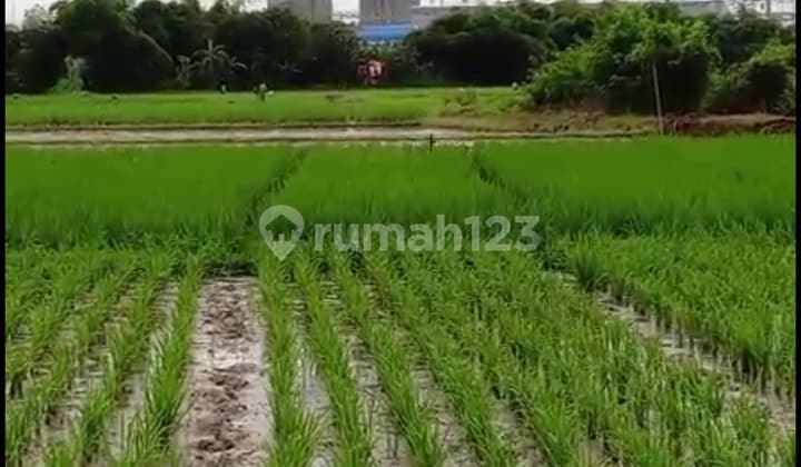 Land in Subang. Near Byd.