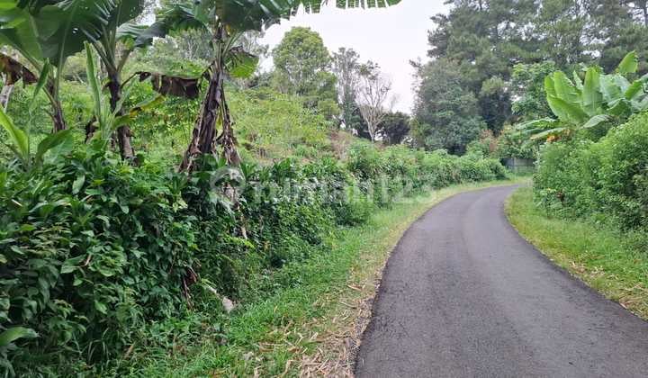 Lahan Villa. Ciater. 800 M Dpl