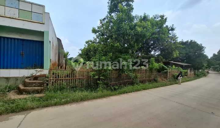 Tanah Kebun Purwadadi.subang