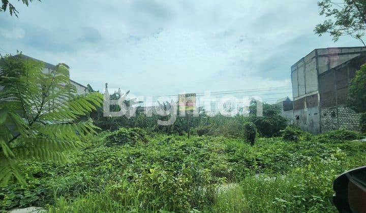 Land in a strategic location in the Merr area.