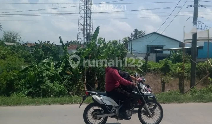Tanah Jl Raya Bojonegara Kp Tunggak Nego Sampai Deal Tanah Jl Raya Bojonegara Kp Tunggak Nego Sampai Deal