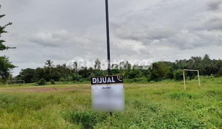 Tanah Tinggar Curuh Harga Miring Nego Sampai Deal