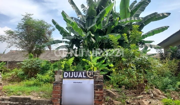 Tanah Kavling Kramatwatu Nego Sampai Deal