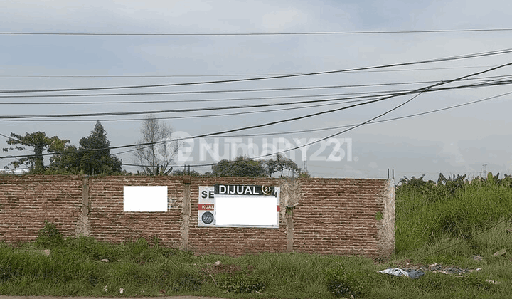 Land Road Bojonegara Terate Negotiable Until Deal.