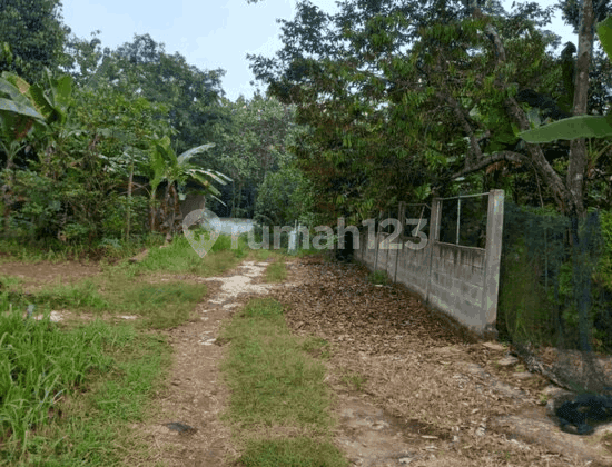 Tanah Kp Sukadalem Waringinkurung Harga Miring