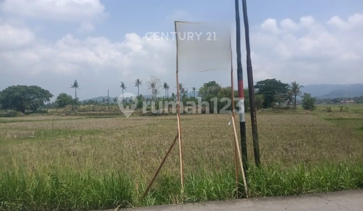 Tanah Jalan Raya Bojonegara Kp Kertasana