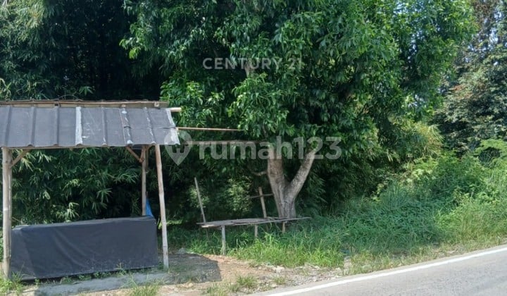 Tanah Kavling Jalan Lingkar Selatan KM 3
