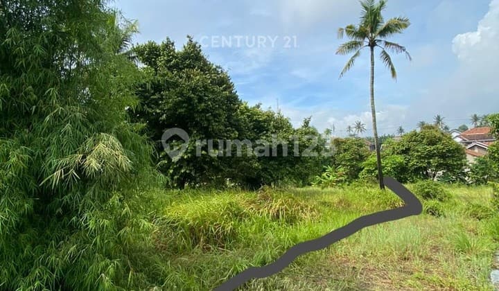 Tanah Kavling Citangkil Jalan Sudah Paving Blok