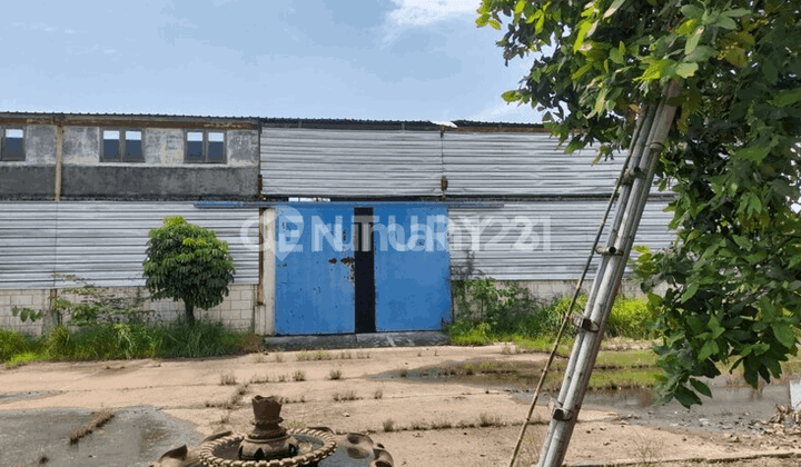 Gudang Multifungsi Jalan Utama Bojonegara