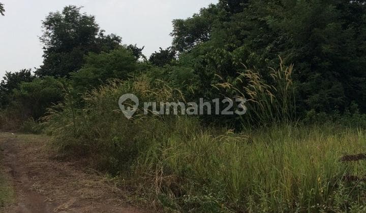 Tanah Kavling Griya Baladika Taktakan Akses Tol