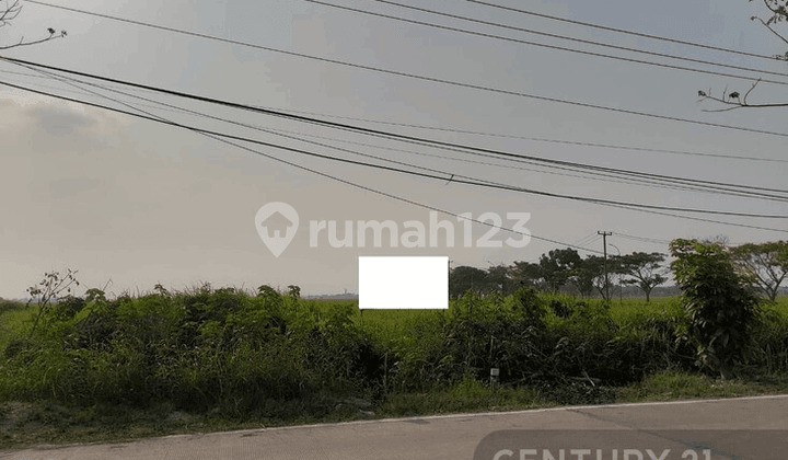 Tanah Pamengkang Tasikardi Jalan Utama Nego