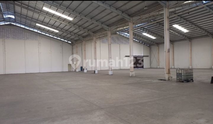 Greenland Delta Silicone Warehouse New Ready to Use.