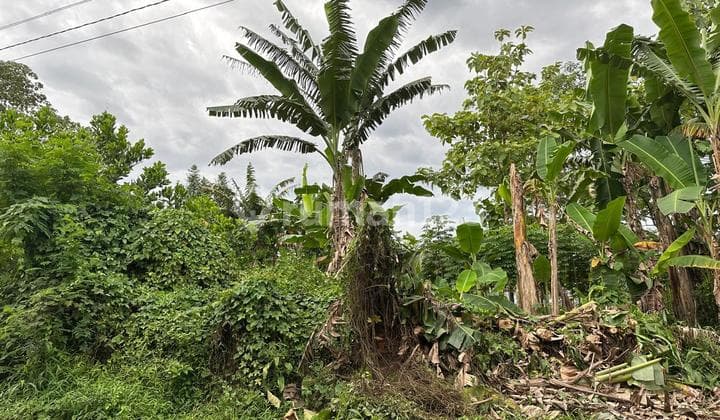 Jual Kavling Mekar Sari, Rumpin Luas 2500 Lokasi Sudah Berkembang