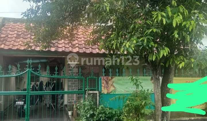Rumah Murah Model Lama Komplek Anggrek Loka Bsd City Akses Mudah