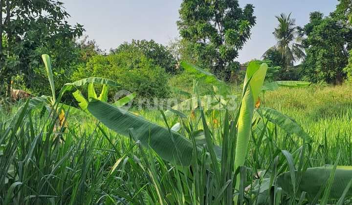 TANAH KAVLING DEKAT KANTOR WALIKOTA Cocok untuk bangun perumahan