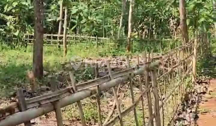 Dijual Tanah Murah Pekaja Kalibagor