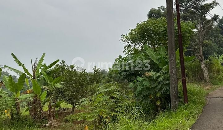 Di Jual Tanah Murah Strategis Do Cigudeg Bogor