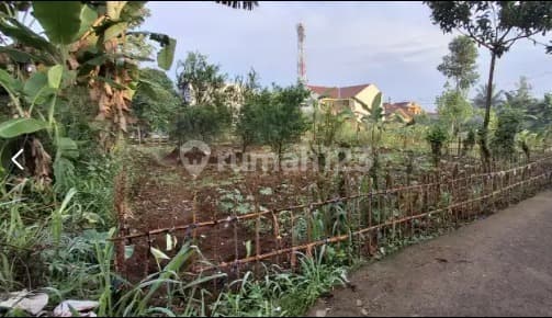 Di Jual Cepat Tanah Darat Lokasi Dekat dengan Ipb Bogor