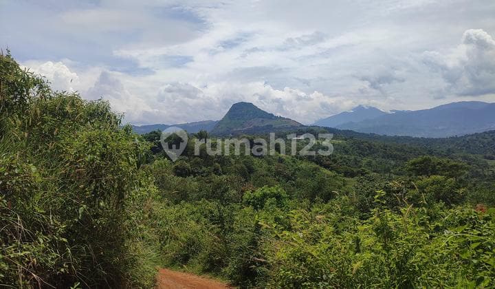 Di Jual Tanah Murah Cocok untuk Bangun Perumahandi Jonggol Bogor
