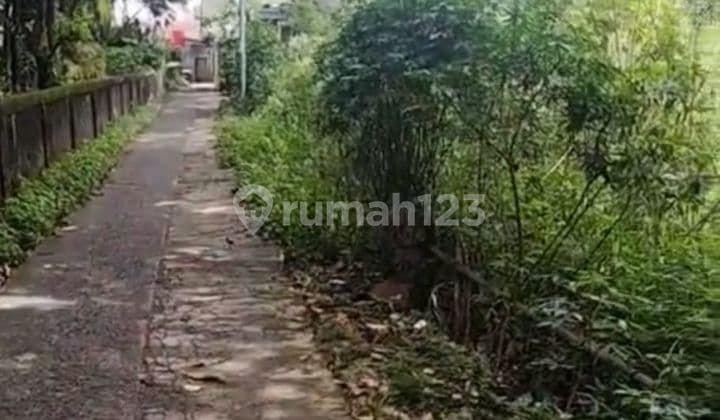 Dijual Tanah Lokasi Pinggir Jln Altenatif Lingkar Lipi - Cibinong