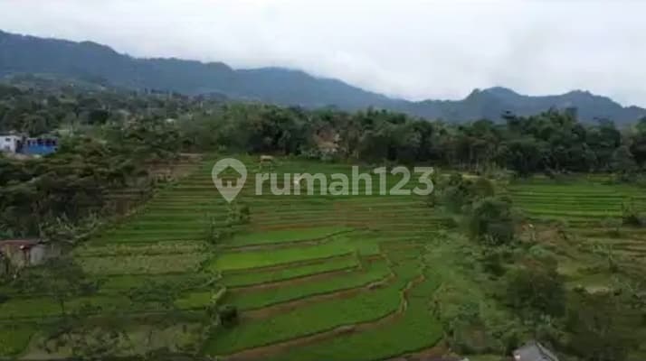 Dijual Tanah Strategis di Wargajaya Bogor