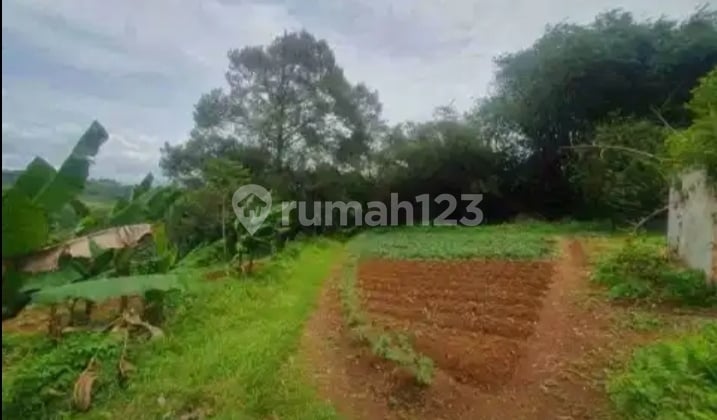 Dijual Tanah di Jonggol Cocok untuk Perumahan