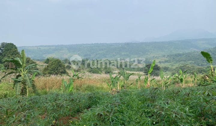 For Sale: Prime Land Suitable for Villa with Mountain View in Sukadamai, Bogor