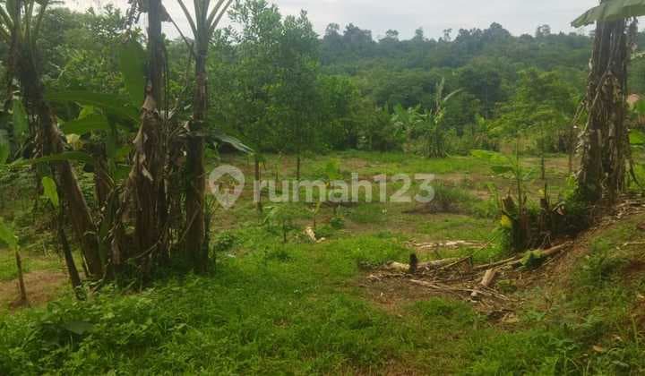 Land for Sale in Jonggol, Bogor, Suitable for Housing