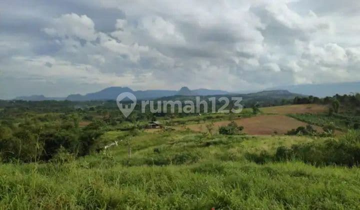For Rent: Large Strategic Land by the Main Highway