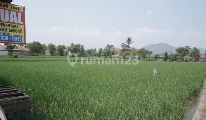 Tanah Produktif Desa Biru , Majalaya , Nego Sampai Jadi