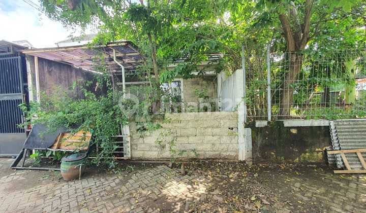 Rumah Golden Berry Minimalis Butuh Renov Rumah Golden Berry Minimalis Butuh Renov