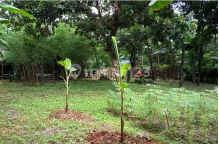 Dijual Kavling Siap Bangun di Lebak Bulus Cocok Dijadikan Townhouse