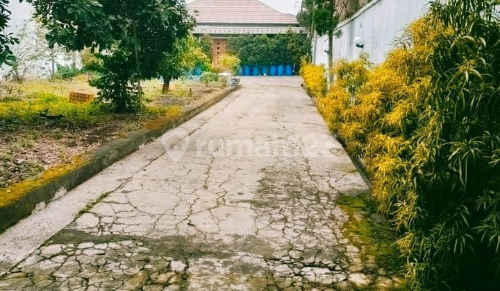 For Sale: Holis Soy Sauce Factory in Bandung, All-Inclusive with Good SHM.