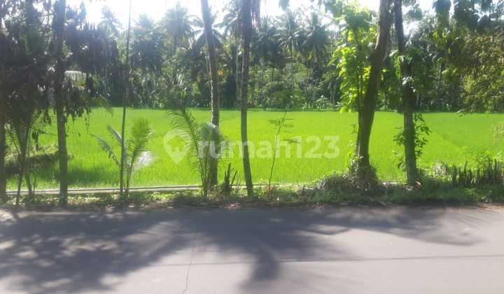 Quick and Cheap Sale of Land in Citumang, Pangandaran, West Java, Suitable for All Businesses!!!