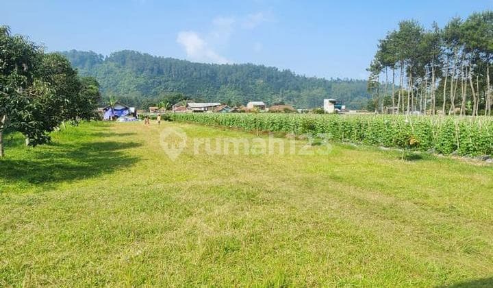 Flat Land Lembang East Maribaya