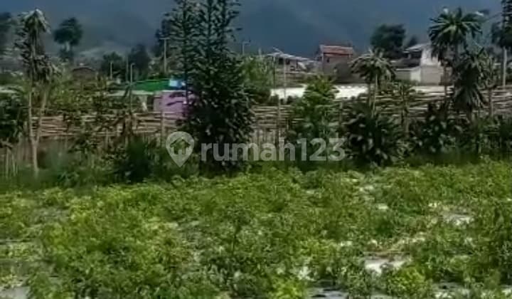 Tanah Kebun Bisa Untuk Di Bangun Cluster View Gunung Burangrang