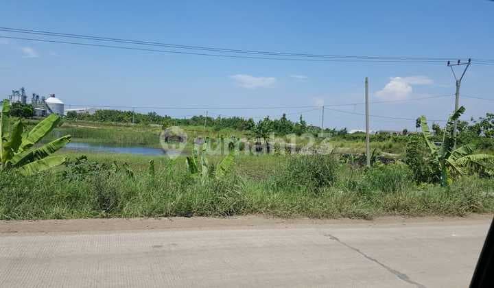 Jl. Raya Bojonegara, Margagiri, Serang, Banten