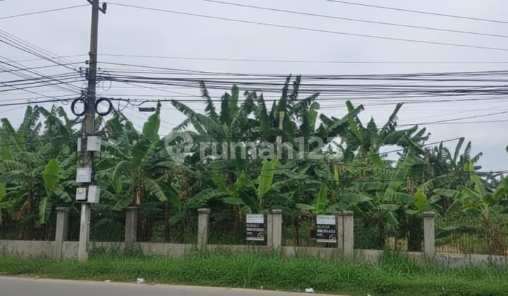 Tanah Ciangsana Pinggir Jalan Raya, Akses Transyogi
