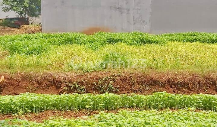 Tanah Kav di Jual di Imperial Sukapura Cilincing Jakarta Utara