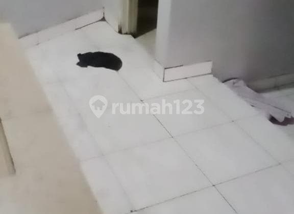 Dijual Ruko 3 Lantai di Amirmahmud Cimindi