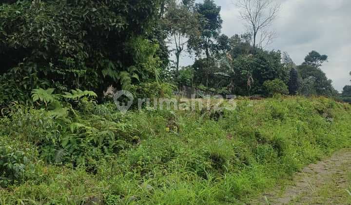 Dijual Cepat Tanah Pinggir Jalan Raya Di Cijayanti Sentul Bogor