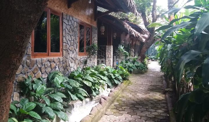 Penginapan Di Bulak Laut Pangandaran