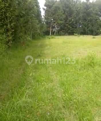 Tanah Strategis di Lembang Asri Dekat Lembang Park And Zoo