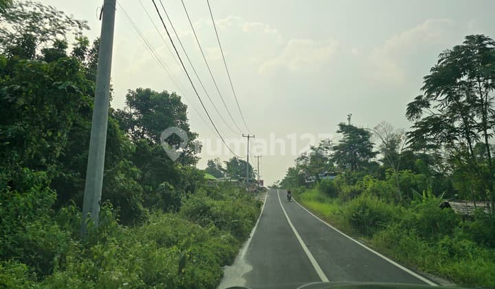 For Sale, Suitable Garden Land for Livestock in Rangkasbitung, Serang