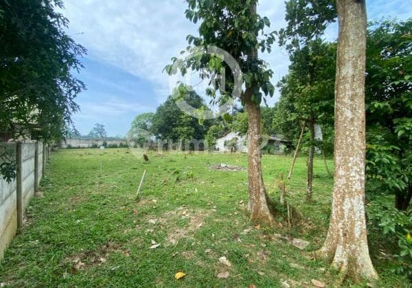 Land for Sale in Dandang Village, Cisauk, Tangerang